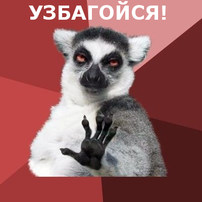 Rakoon